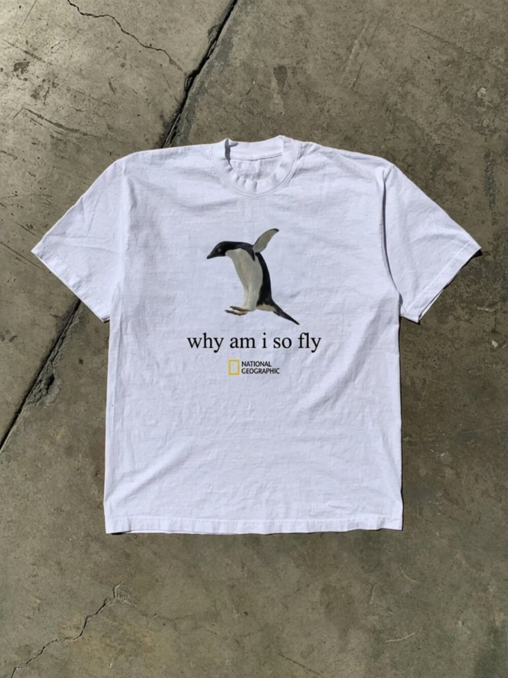 Gildan Men's T-shirt